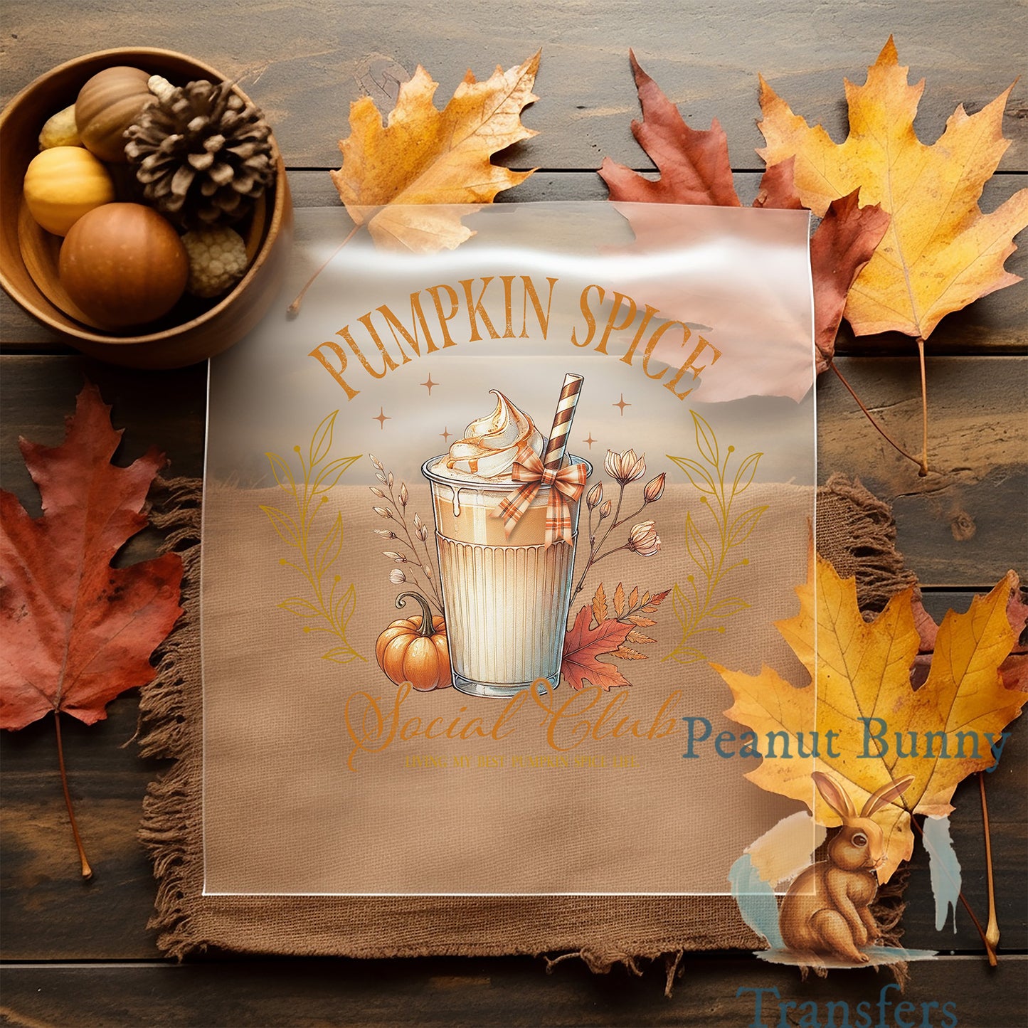 Coquette Fall DTF