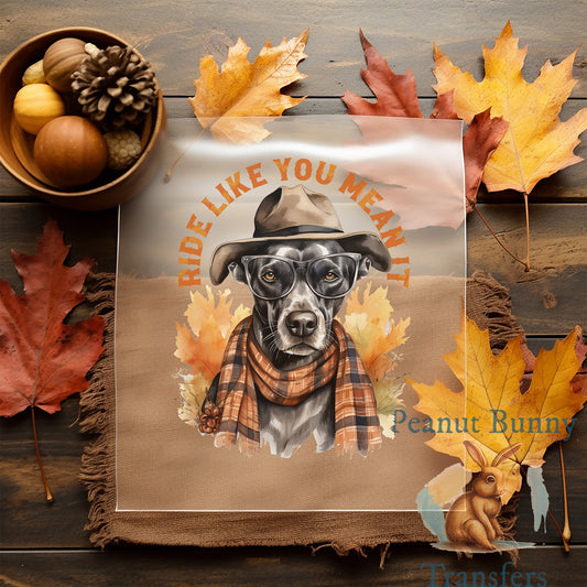 Western Fall DTF