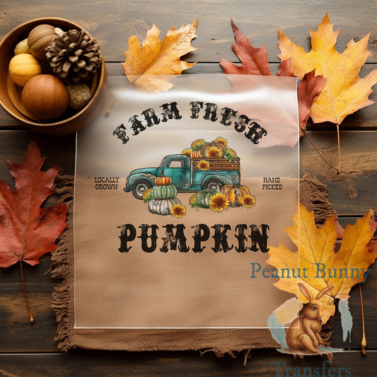 Western Fall DTF