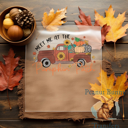 Western Fall DTF