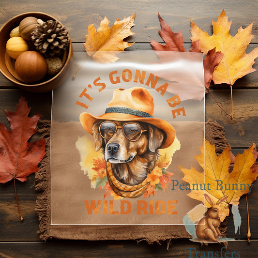 Western Fall DTF