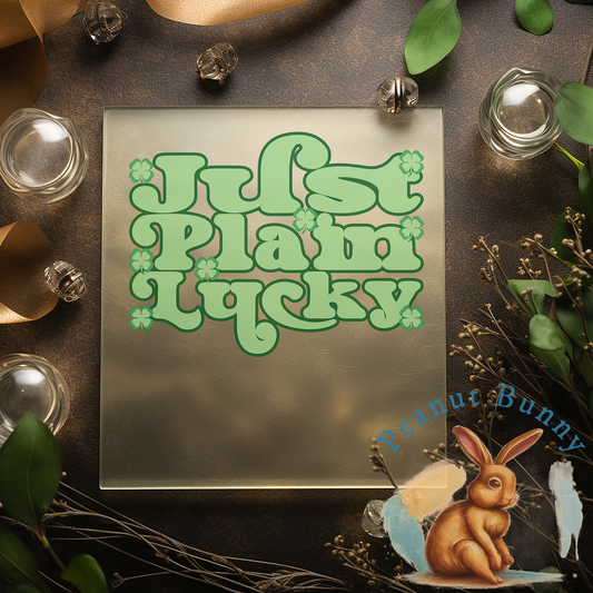 Paddy's Luck Soiree DTF Transfer