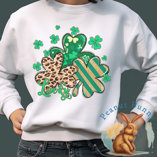 Paddy's Day Bliss DTF Transfer